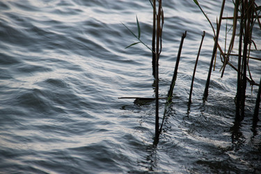 Similar image 20981179