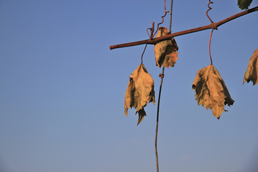 Similar image 20981180