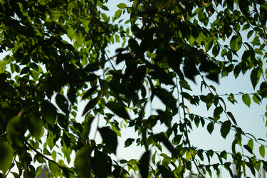 Similar image 20981810