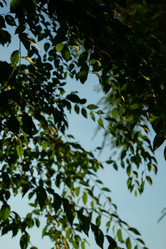 Similar image 20981811