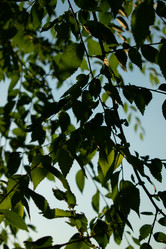 Similar image 20981812