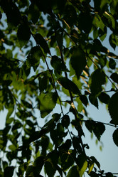 Similar image 20981813