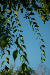 Similar image 20981814