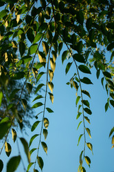 Similar image 20981815