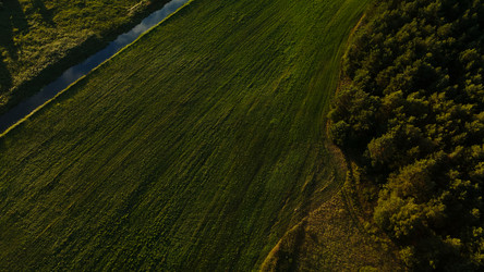 Similar image 20981406