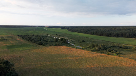 Similar image 20981415