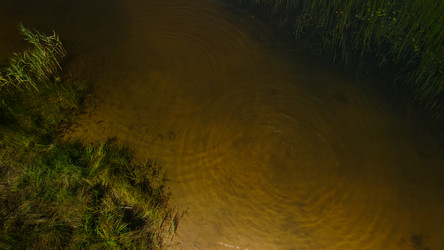 Similar image 20981428