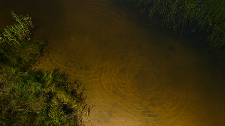 Similar image 20981430