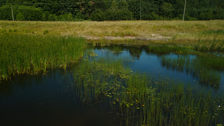 Similar image 20981433