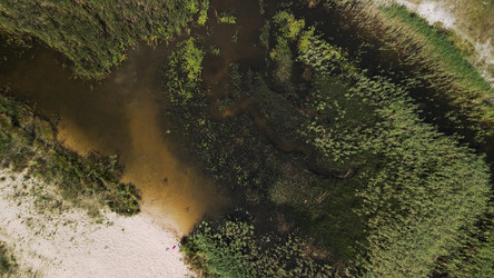 Similar image 20981694