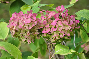 Similar image 21001468