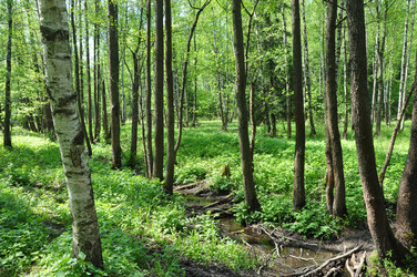 Similar image 21001489