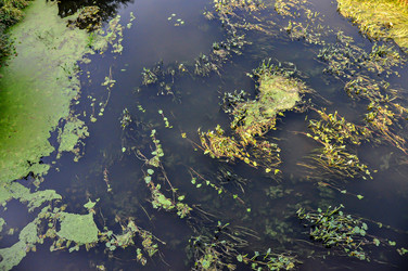 Similar image 21001490