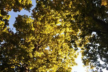 Similar image 21001513