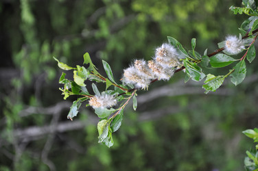 Similar image 21001514