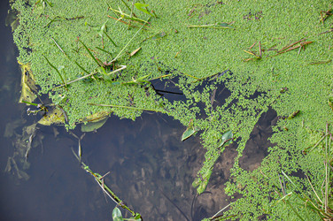 Similar image 20991599