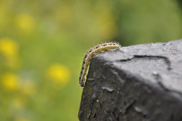 Similar image 20991659