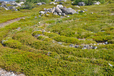 Similar image 20991670