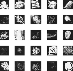 Similar image 20997904