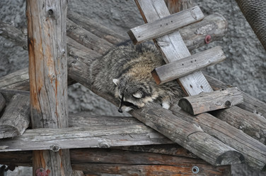 Similar image 21001520