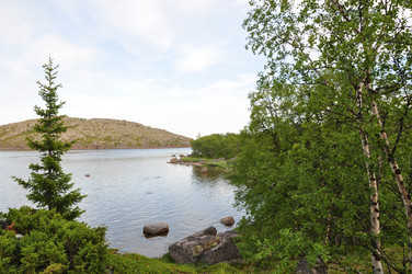 Similar image 21001474