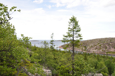 Similar image 21001522