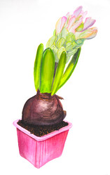 Similar image 20981208