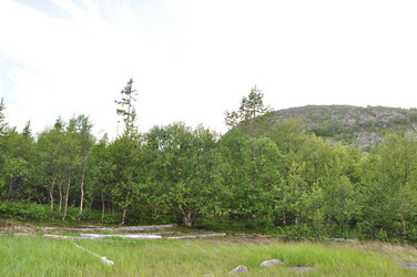 Similar image 20991685