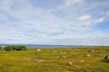 Similar image 21001475