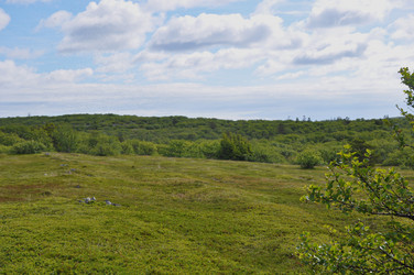 Similar image 21001499