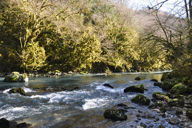 Similar image 20991604