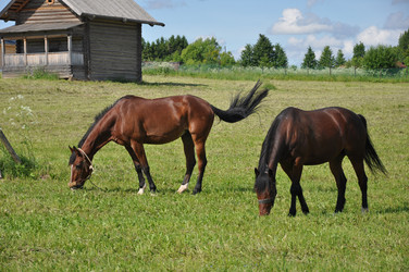 Similar image 20990070