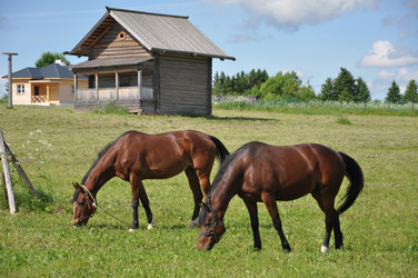 Similar image 20990089