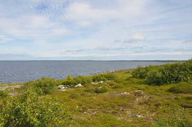 Similar image 21001529