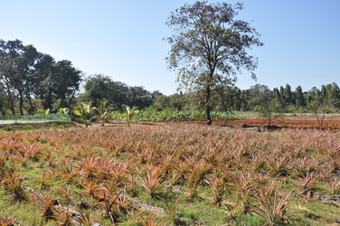 Similar image 21001502