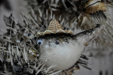 Similar image 20990099