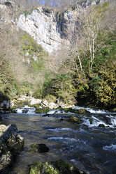 Similar image 20991710