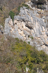 Similar image 20997918