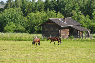 Similar image 20997921