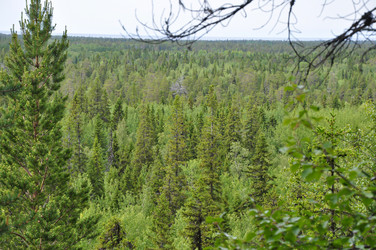 Similar image 20990074