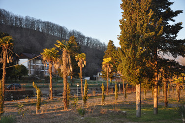 Similar image 20991715