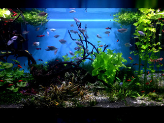 Similar image 20990121