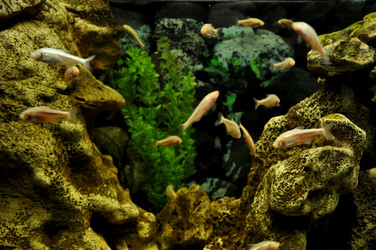 Similar image 20990122