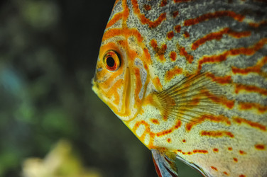 Similar image 20990132