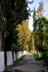 Similar image 20990133