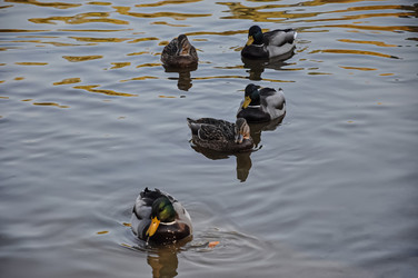 Similar image 20990139