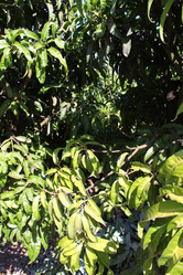 Similar image 20990145