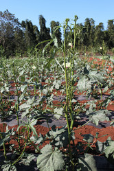 Similar image 20990146