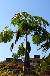 Similar image 20990147