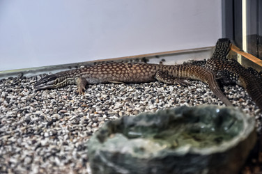 Similar image 20990082